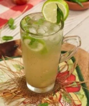 Ghar Special Shikanjavi